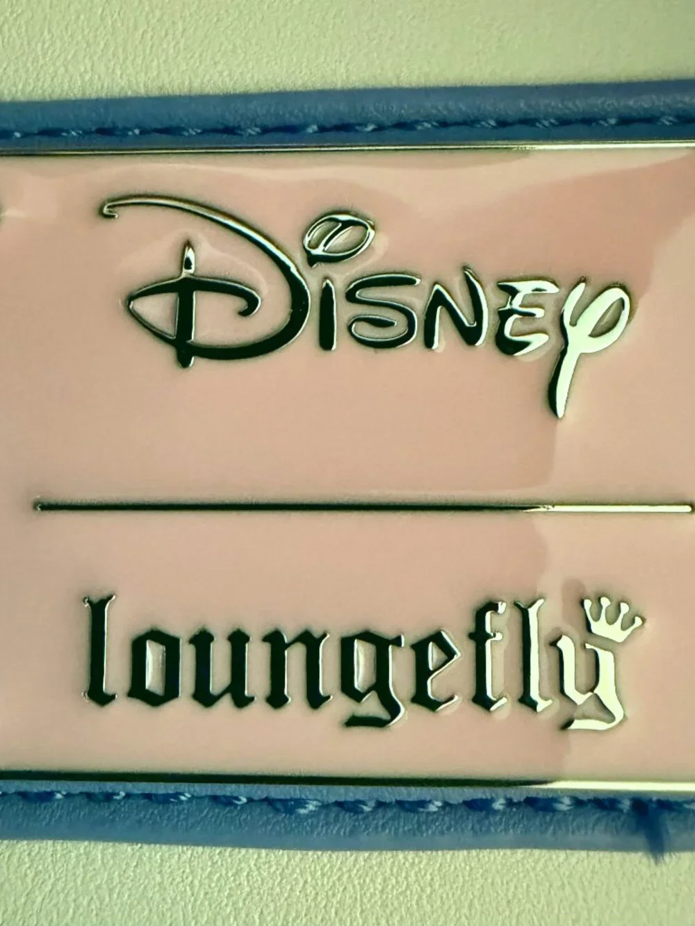 Loungefly 🌸 complete